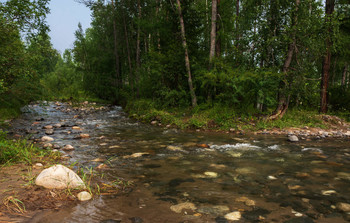 Forest River / ***