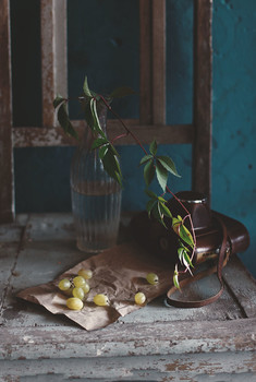 &nbsp; / ............................................