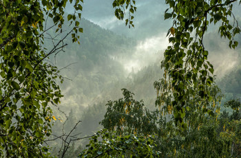 Nach dem Regen / ***