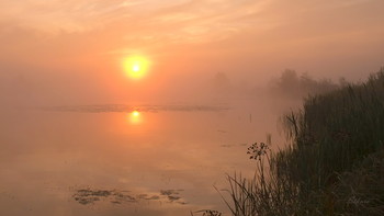 Herbst Morgengrauen. / ***