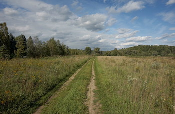 Track / Luszhki-village, Istra-district, Moscow region, Russia