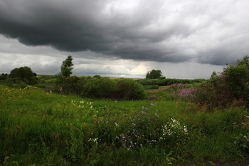 Vor dem regen. / ***