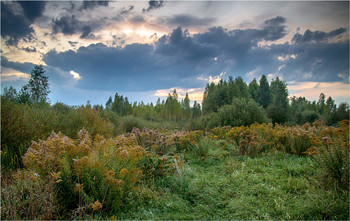 Herbstfarben / ***