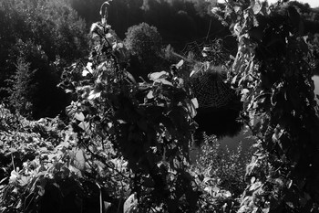 Zeichen des Herbstes. / ***