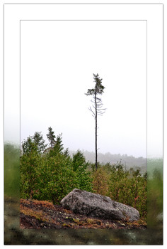 Kola peninsula / ***