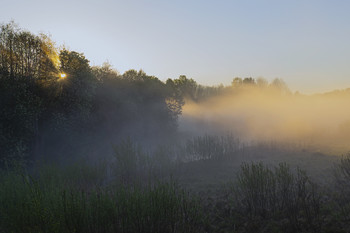 Sonnig Nebel / ***