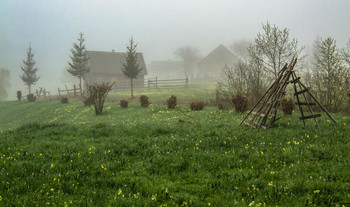 Frühling Nebel / ***