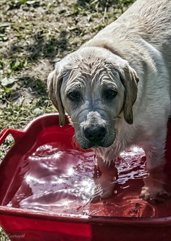 Wasserbehandlungen / ***