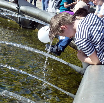 Wasserbehandlungen / ***