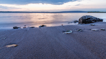 Abend an der Wolga / ***