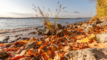 Herbst / ***