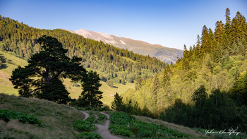 Licht und Schatten. / ***