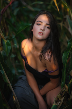  / ***