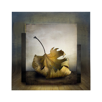 Herbstportrait / Digital art