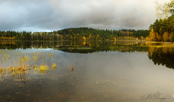 Herbstfarbe / ***