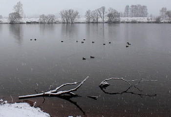 Der Beginn des Winters! / ***