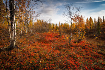 Herbst / _ _ _