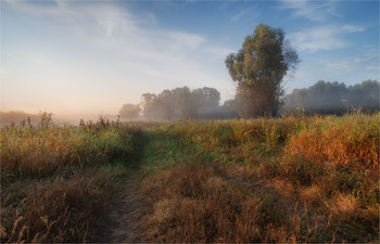 Herbst Morgendämmerung / ***