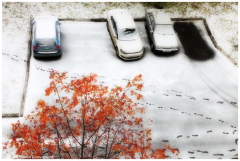 Der erste Schnee / ***