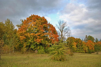 Signs of Herbst / ***