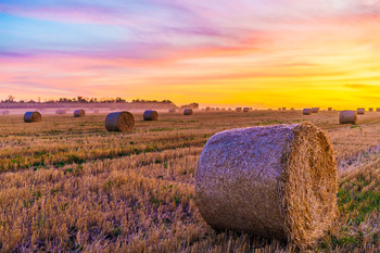 Signs of Herbst / ***