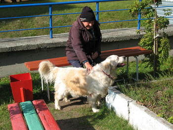 Signs of Herbst / ***