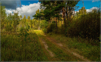 Signs of Herbst / ***