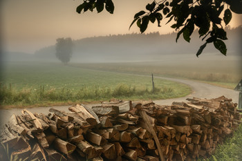 Signs of Herbst / ***