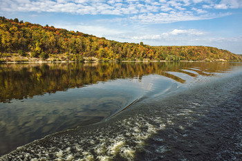 Signs of Herbst / ***