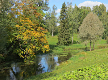 Signs of Herbst / ***