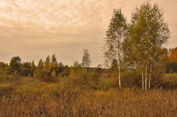 Signs of Herbst / ***