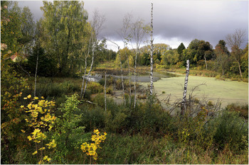 Signs of Herbst / ***