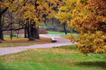 Signs of Herbst / ***