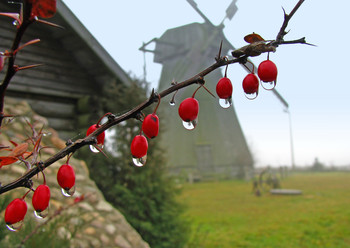 Signs of Herbst / ***