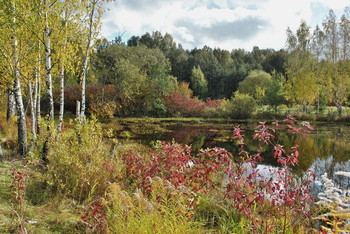 Signs of Herbst / ***