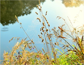 Signs of Herbst / ***