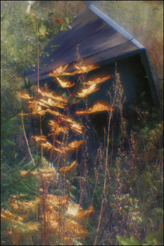 Signs of Herbst / [img]https://c.radikal.ru/c06/1909/23/3ab8bafd876f.jpg[/img]
[img]https://d.radikal.ru/d07/1909/6b/26a7cd9b35bb.jpg[/img]
[img]https://d.radikal.ru/d36/1909/a7/5896540da06f.jpg[/img]

