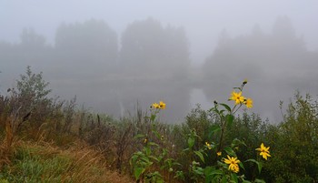September Morgen / ***
