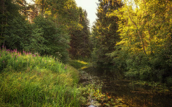 Zufluss / ***