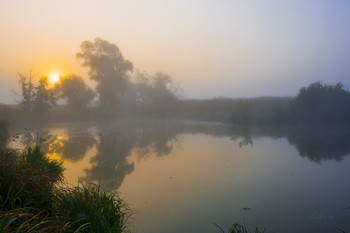 Nebligen Morgen. / ***