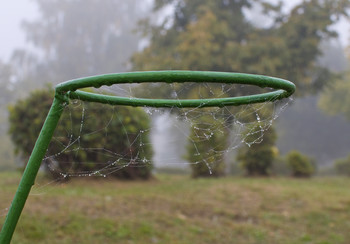 &nbsp; / __________-