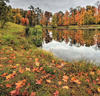 Herbst / ***