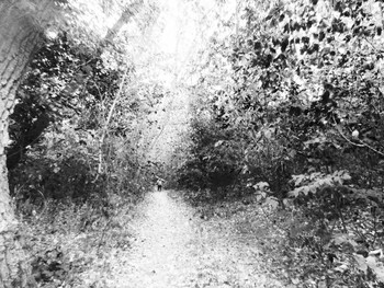 &nbsp; / [img]https://sun9-55.userapi.com/c857624/v857624517/8f80e/WxPYoR5dHec.jpg[/img]

[img]https://sun9-47.userapi.com/c857624/v857624517/8f817/1COfUzoaL-I.jpg[/img]