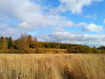 Herbst-Landschaft / ***