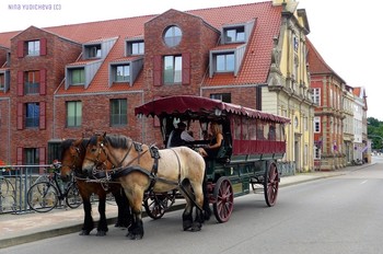 Lüneburg / ***