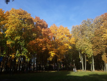 Goldener Herbst / ***