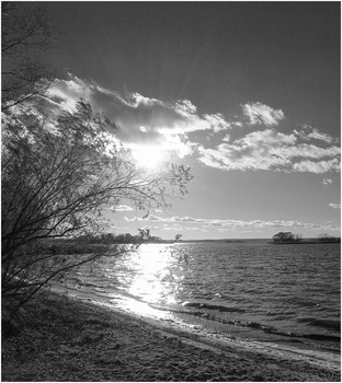 Herbst-Strand / ***
