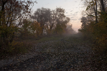 Herbst / ***