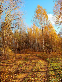 für die Herbststraße / ***