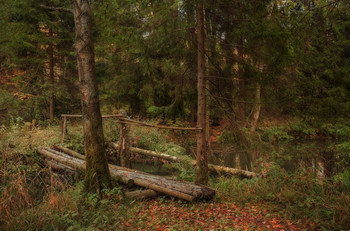 Brücke im Herbst / ***